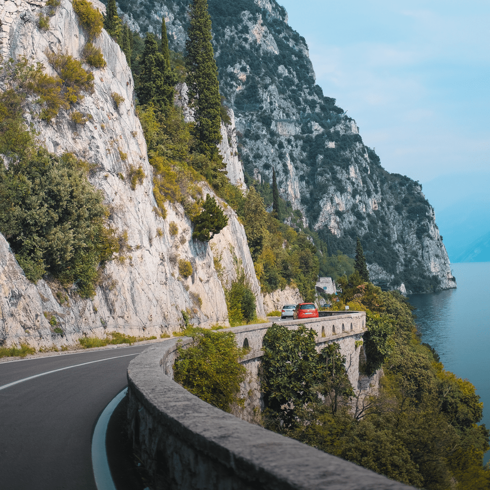 Pellentesque pharetra