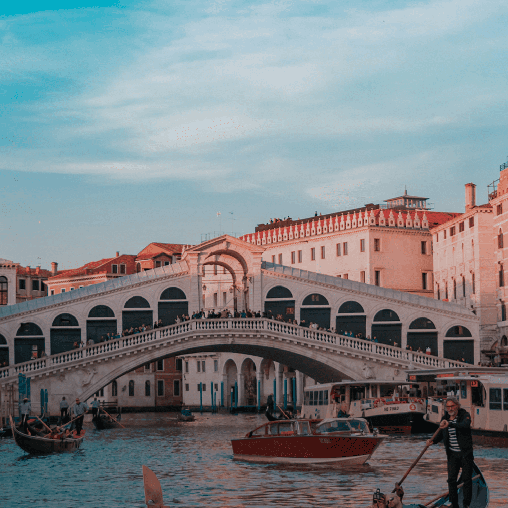 Basic Pellentesque Mall