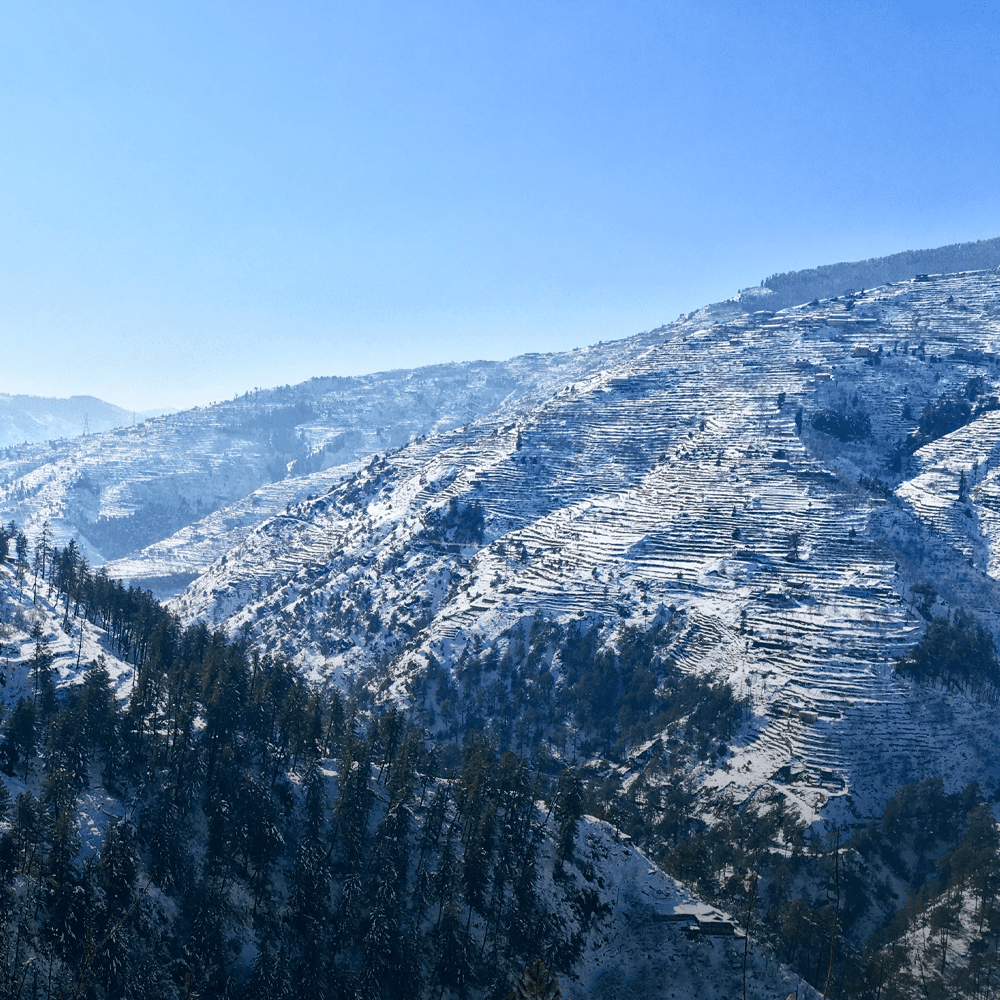 Humming Travel Luggage