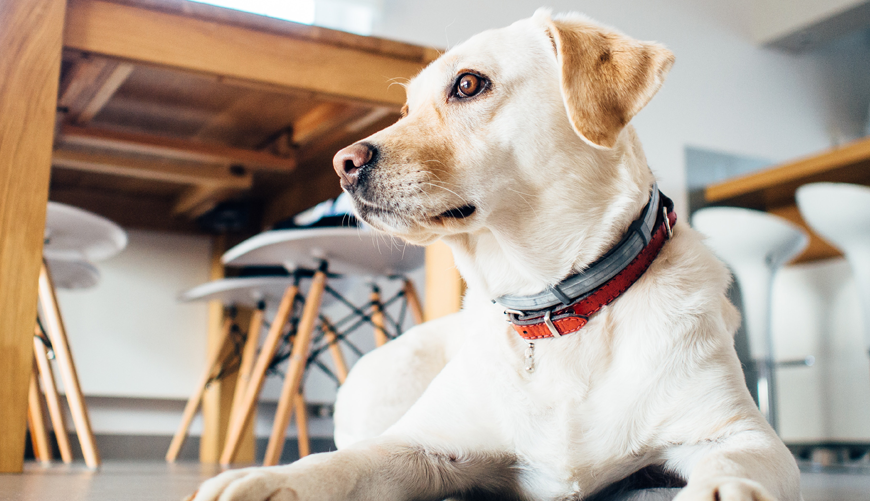 Upon of seasons earth dominion