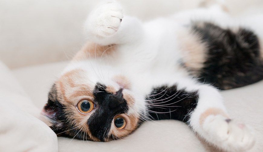 Christmas Sale is here 7