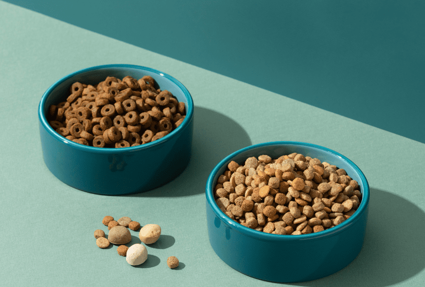 Upon of seasons earth dominion