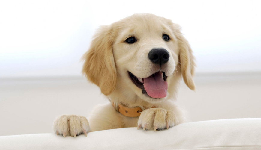 Quando Civibus Placerat