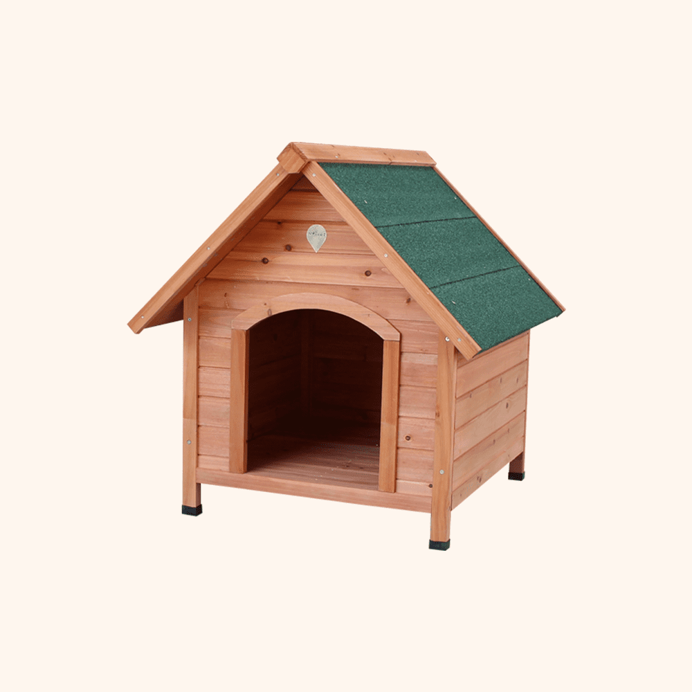 Little Chicken Broiler