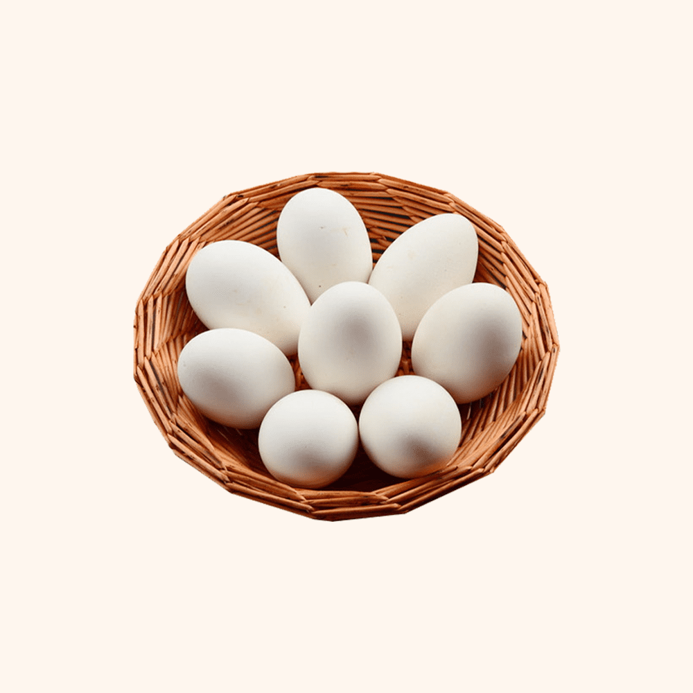 Light Brown Eggs