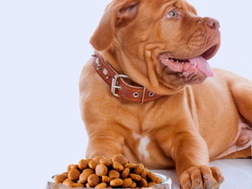 Newsletter Popup Image