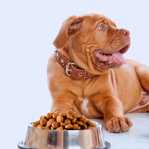 Contact Banner Image