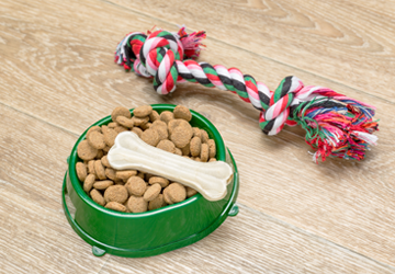 Newsletter Popup Image