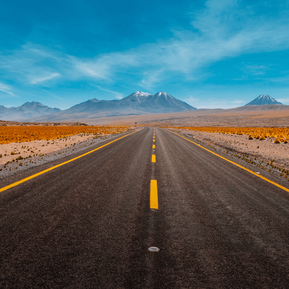 Black diving in neckline