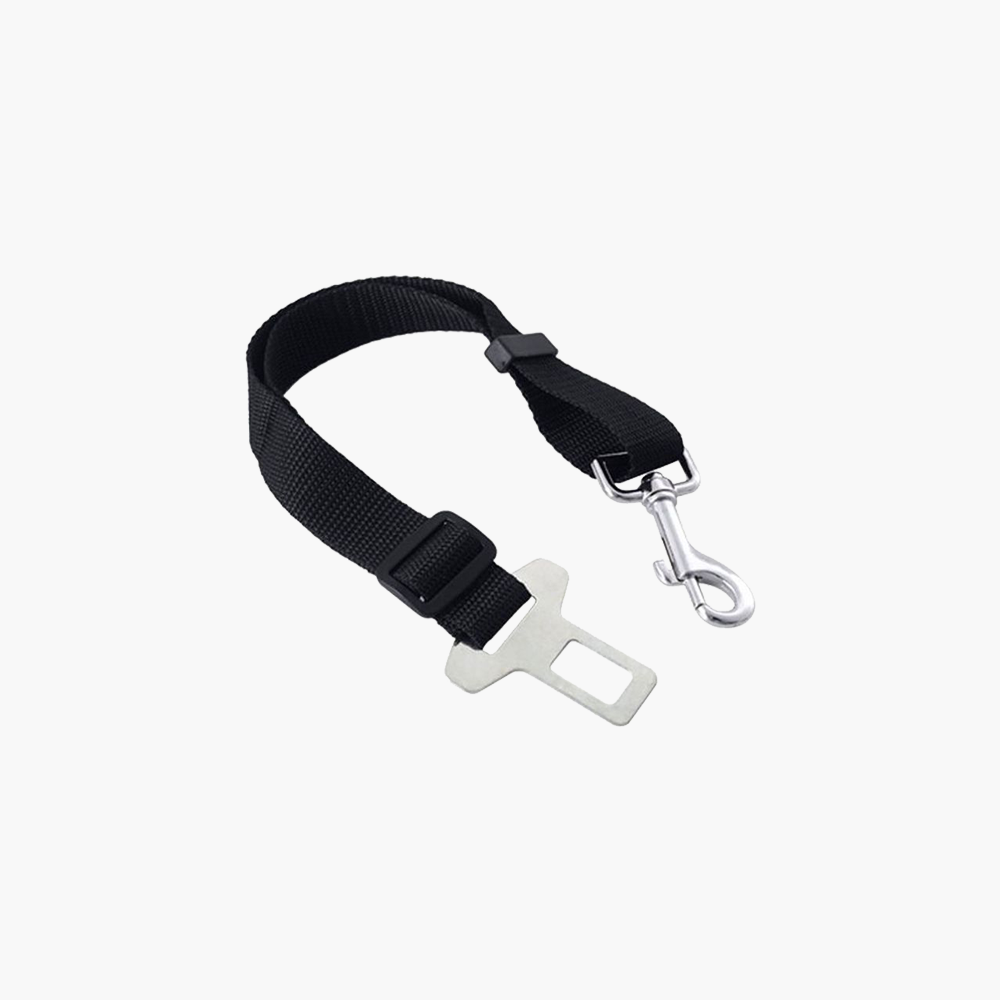 Handle Reflect Crolls Leash