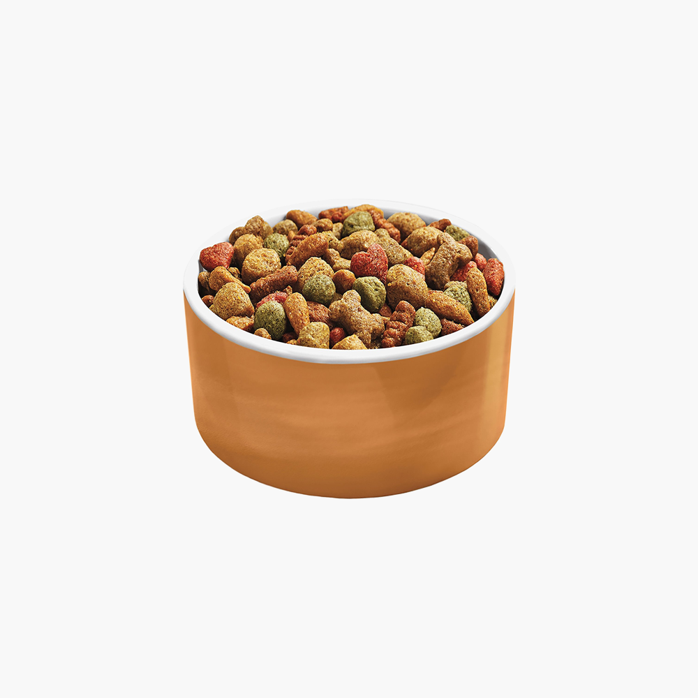 Whiskas Ocean dry food