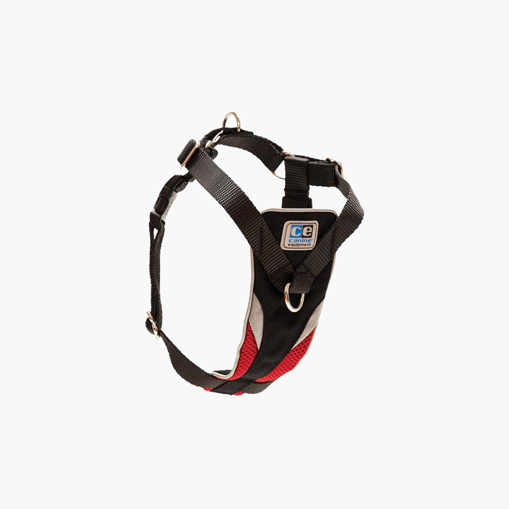 Short Dustbin Tempor Pet