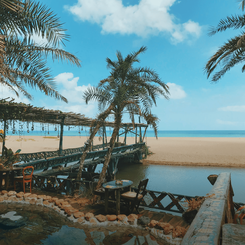 Pellentesque pharetra