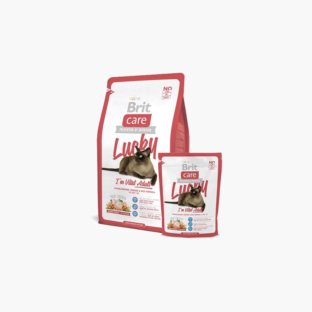 Pedigree Chicken Dry Food