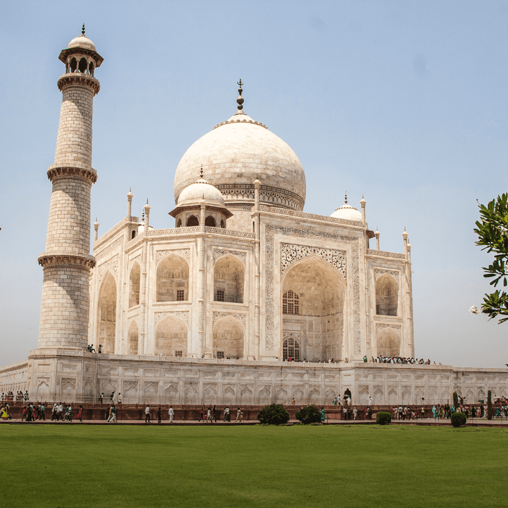 Backpack double strap