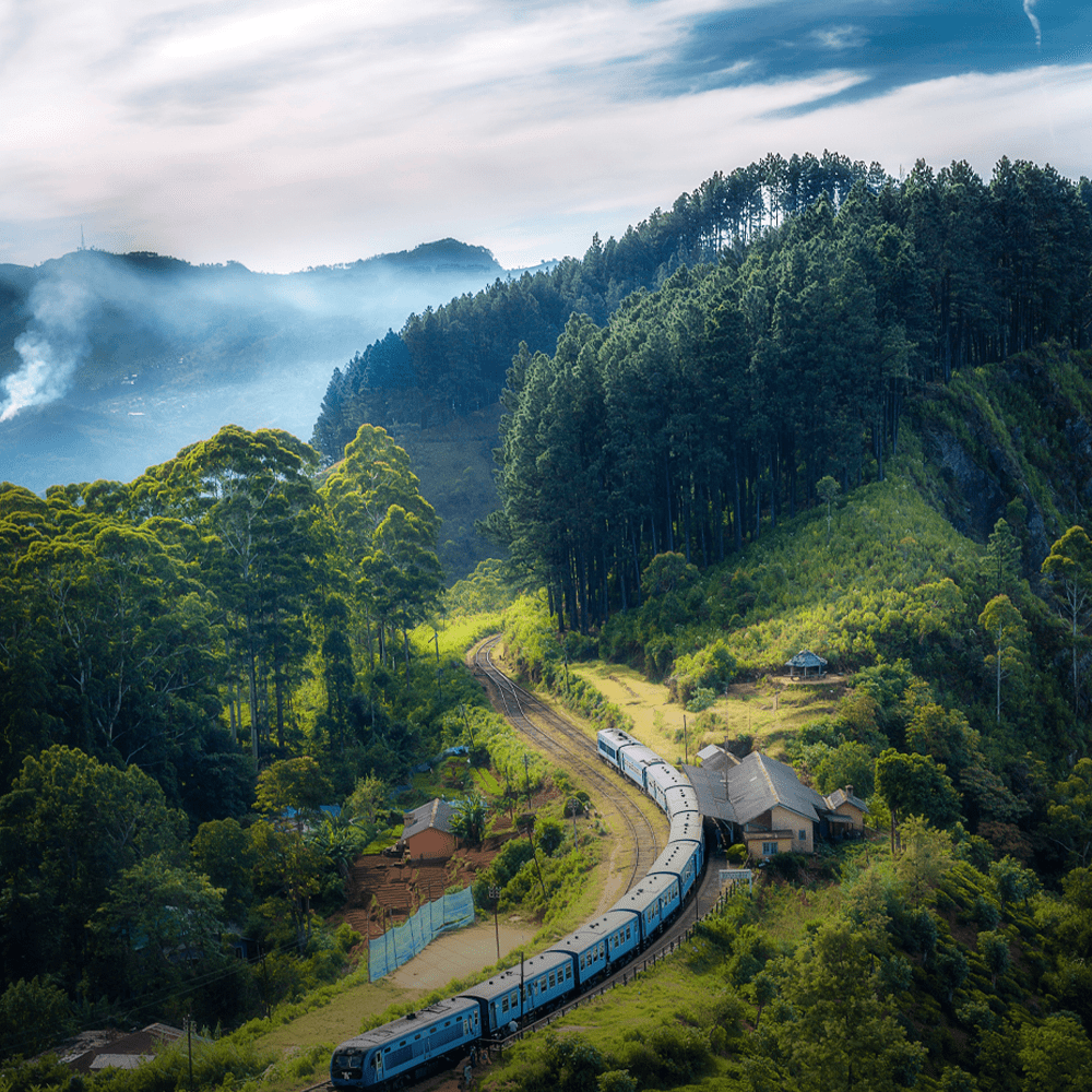 Pellentesque pharetra