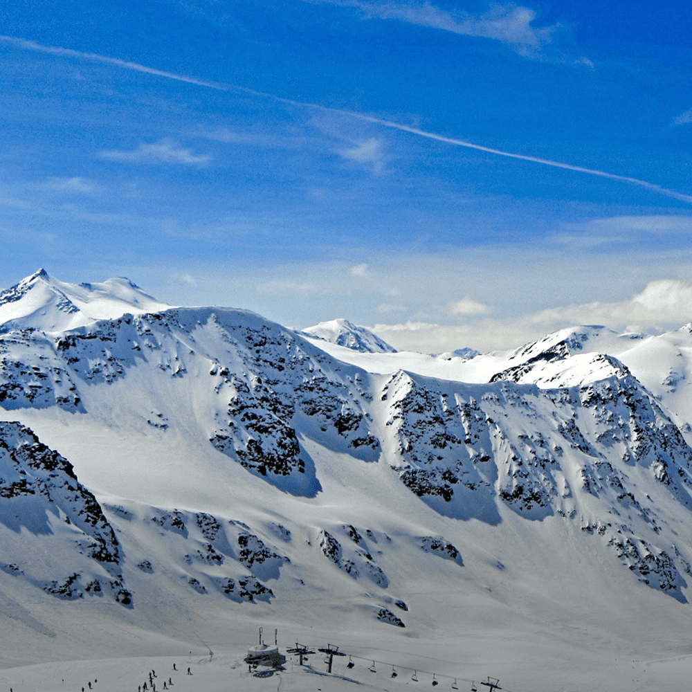 Ligula convallis pulvinar